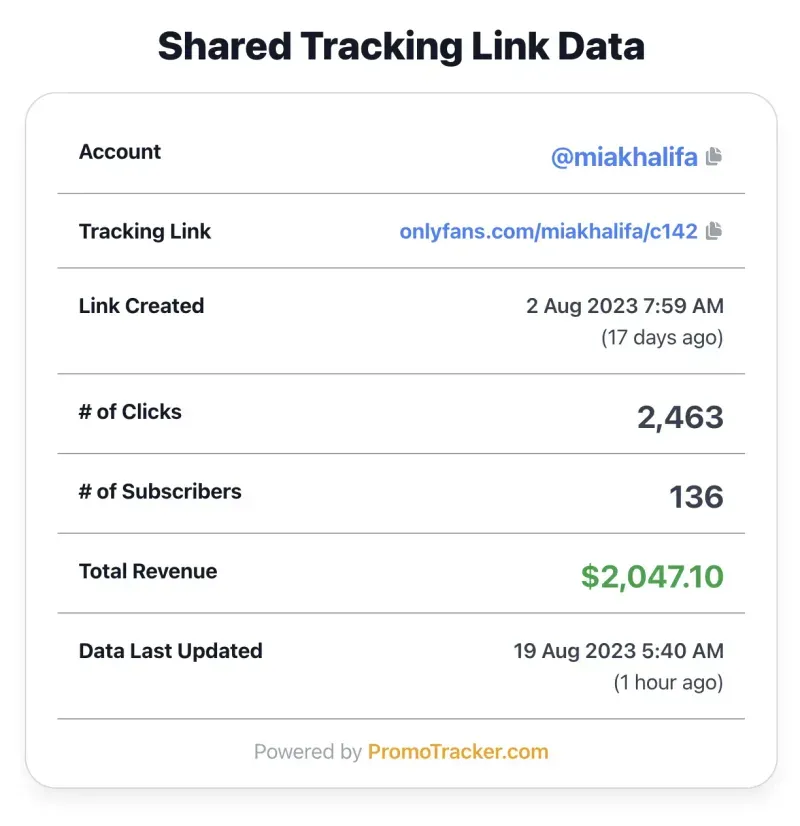 PromoTracker shareable stats link example