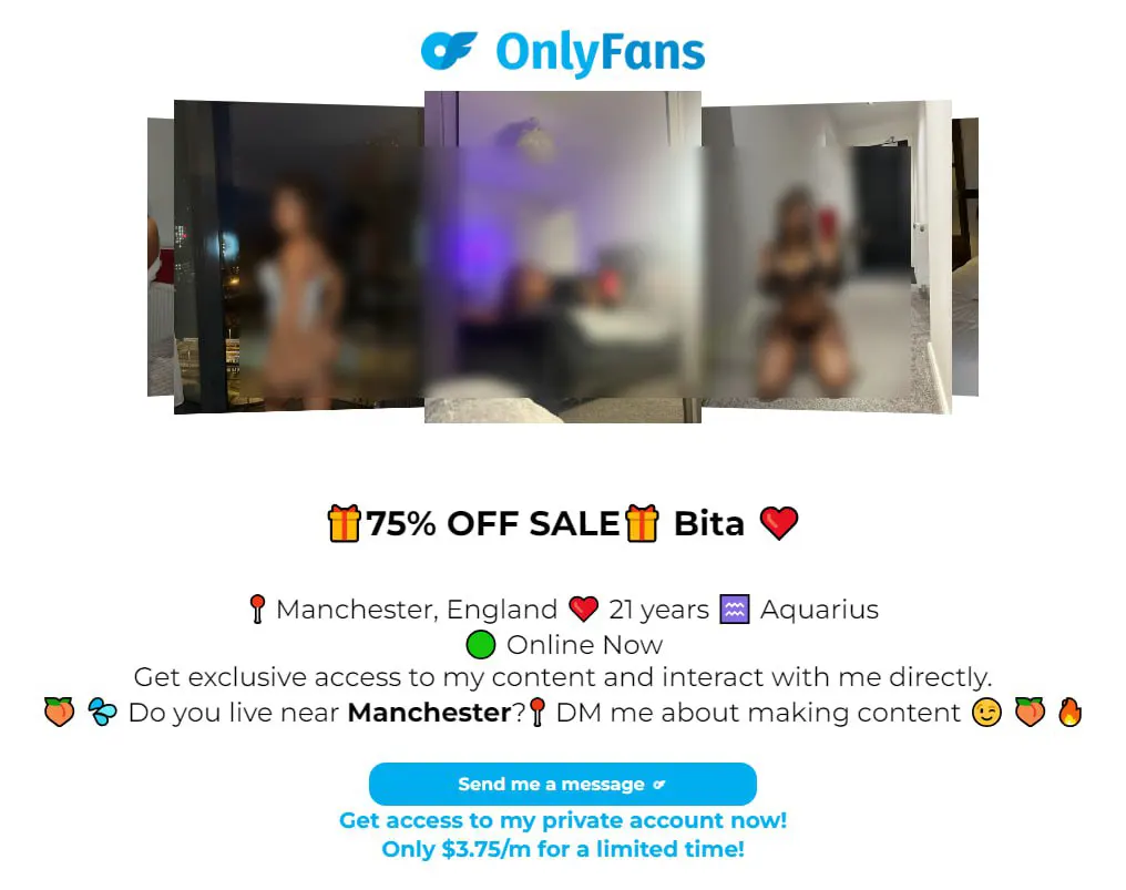 Example of OnlyFans Landing page.